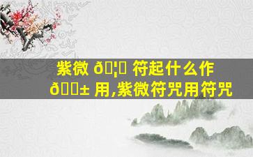 紫微 🦄 符起什么作 🐱 用,紫微符咒用符咒